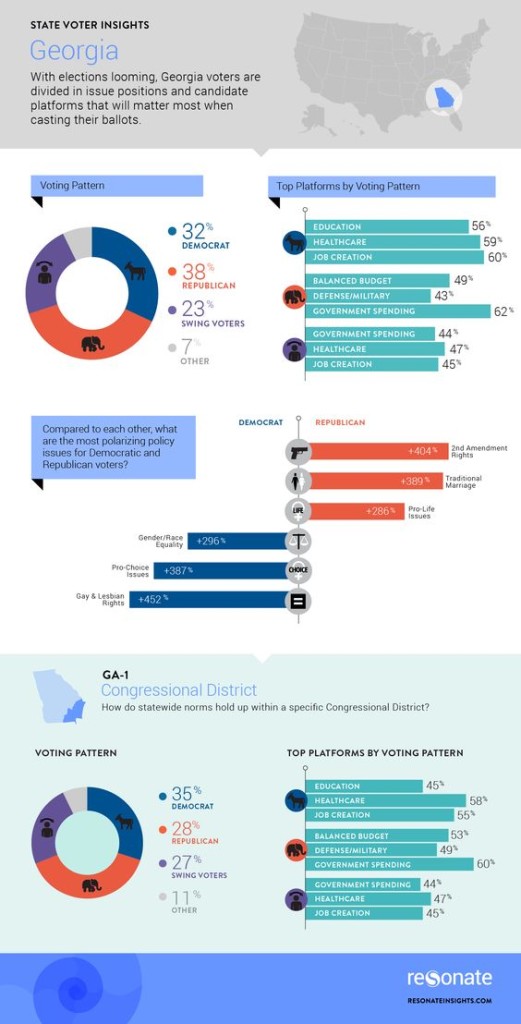 Georgia Voters Infographic