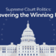 Supreme Court Politics: Uncovering the Winning Issue