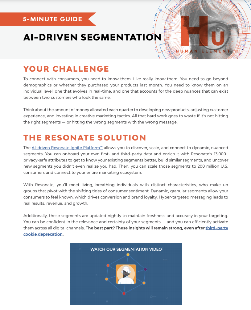 ai-driven segmentation