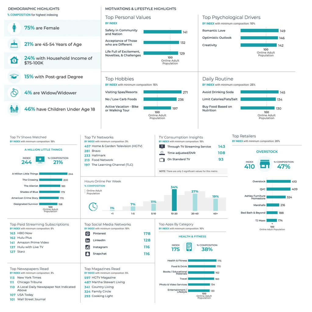 Audience Segmentation